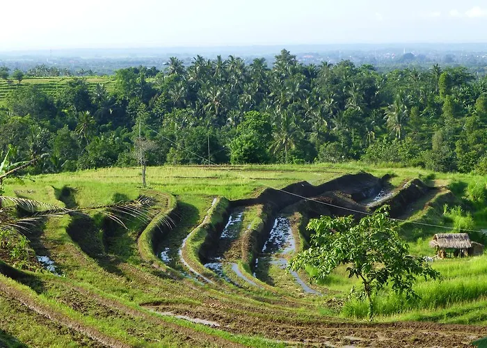 West Bali Villas-umasari Guest house 3*