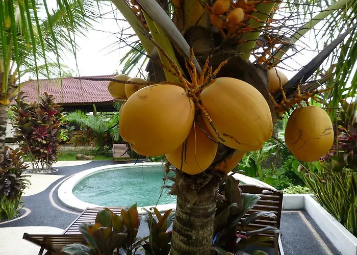 West Bali Villas-umasari Guest house Negara (Bali)