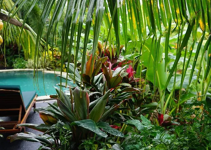 West Bali Villas-umasari 3* Negara (Bali)