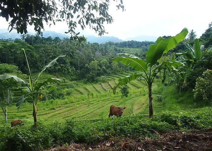 West Bali Villas-umasari Guest house