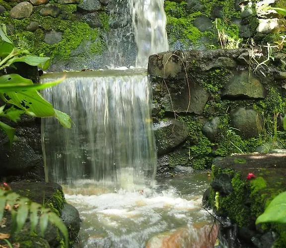 West Bali Villas-umasari Guest house 3*
