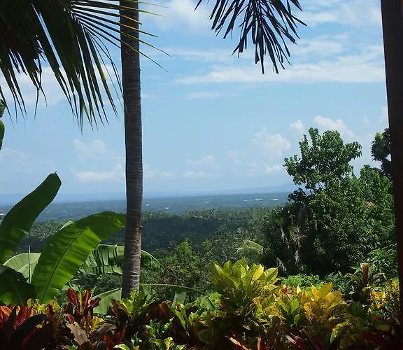 West Bali Villas-umasari Guest house Negara (Bali)