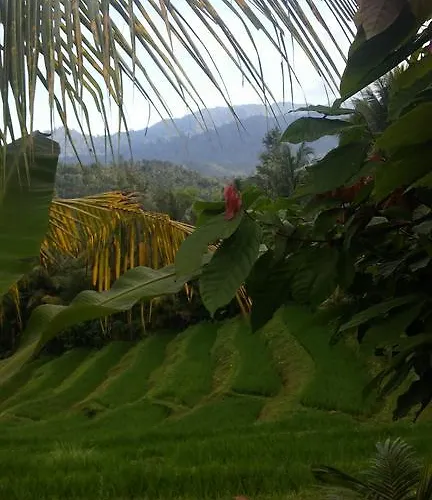 West Bali Villas-umasari Guest house